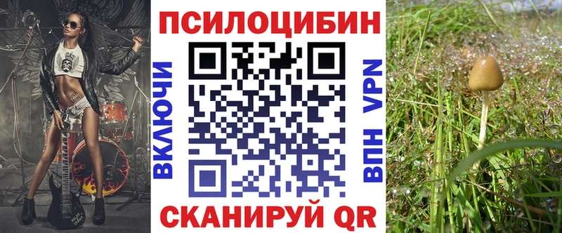 Псилоцибиновые грибы Psilocybine cubensis  Купить закладки  Артём 